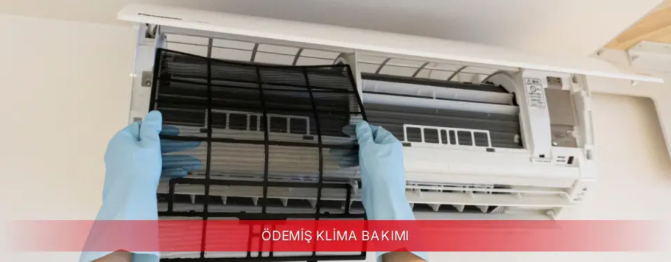 Ödemiş İlçemi Dijitsu Klima Bakımı